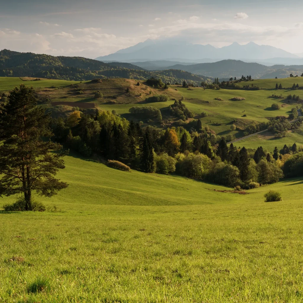 pieniny-wiosna-25-marcinkieltyka-nature-lifestyle-nature-photographer-mountain-vista-07