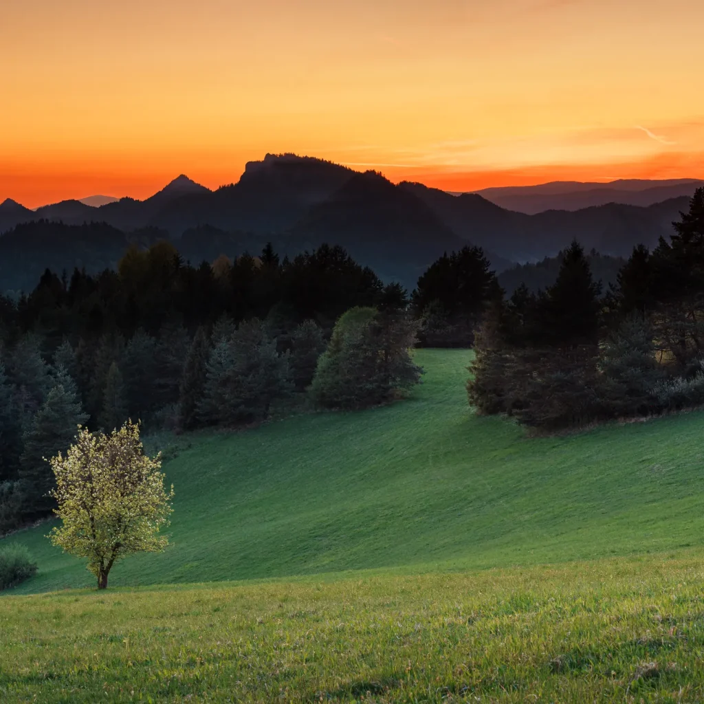 pieniny-wiosna-25-marcinkieltyka-nature-lifestyle-nature-photographer-mountain-vista-11