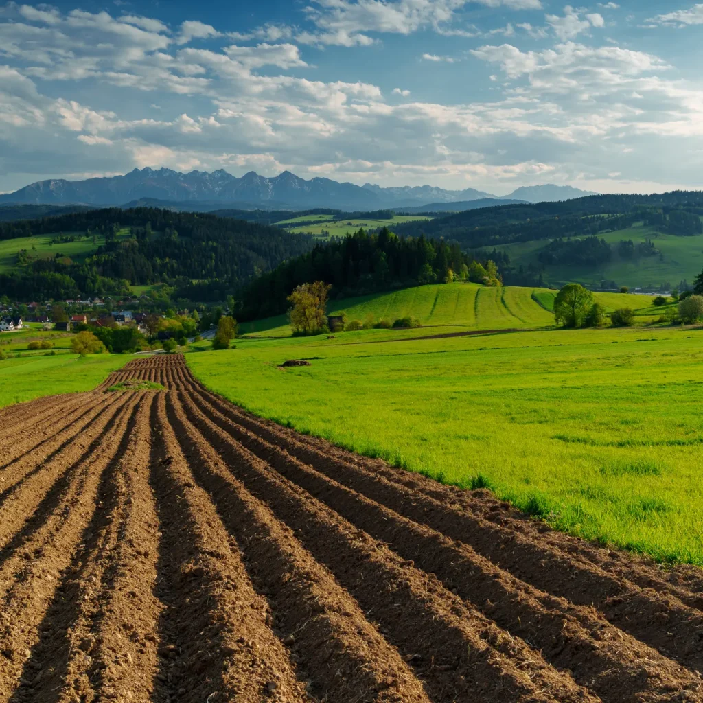 pieniny-wiosna-25-marcinkieltyka-nature-lifestyle-nature-photographer-mountain-vista-15