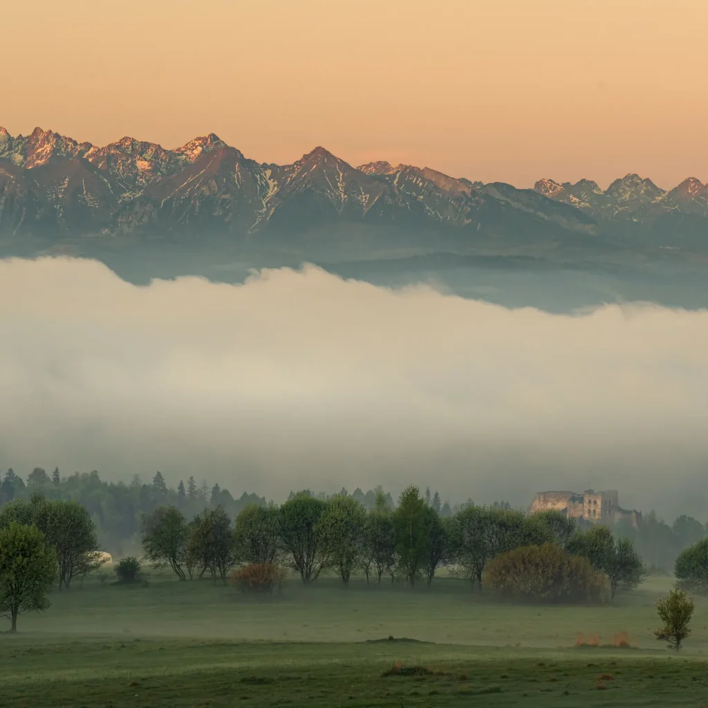 pieniny-wiosna-25-marcinkieltyka-nature-lifestyle-nature-photographer-nature-landscape-12
