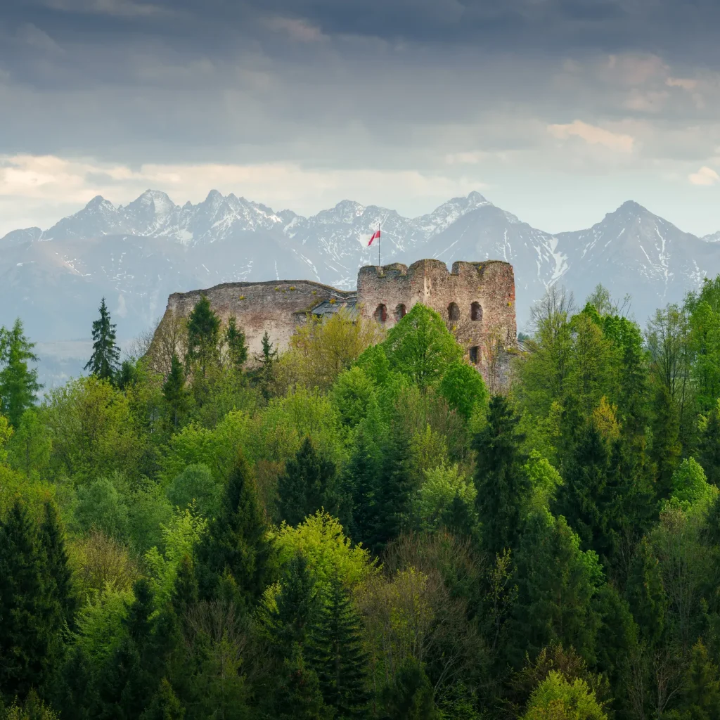 pieniny-wiosna-25-marcinkieltyka-nature-lifestyle-nature-photographer-nature-landscape-16