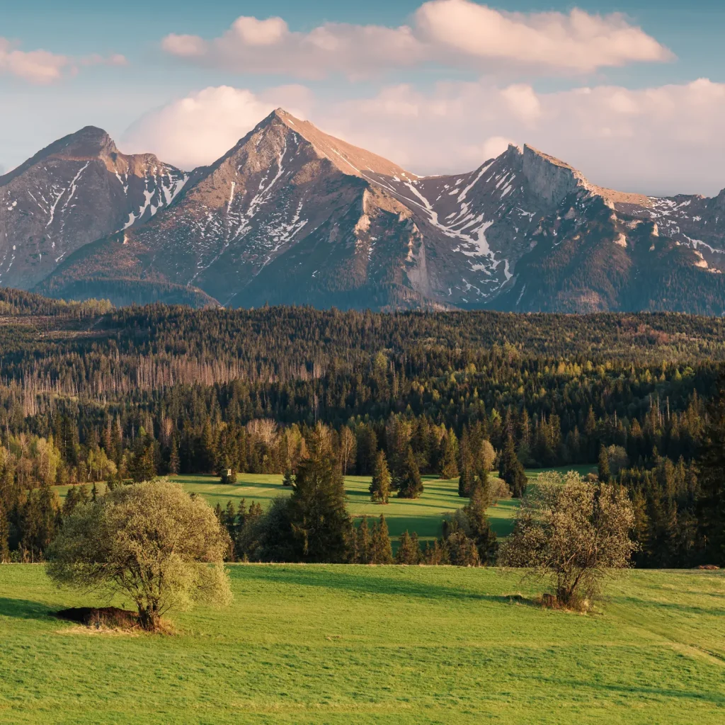 pieniny-wiosna-25-marcinkieltyka-nature-lifestyle-nature-photographer-pieniny-landscape-02