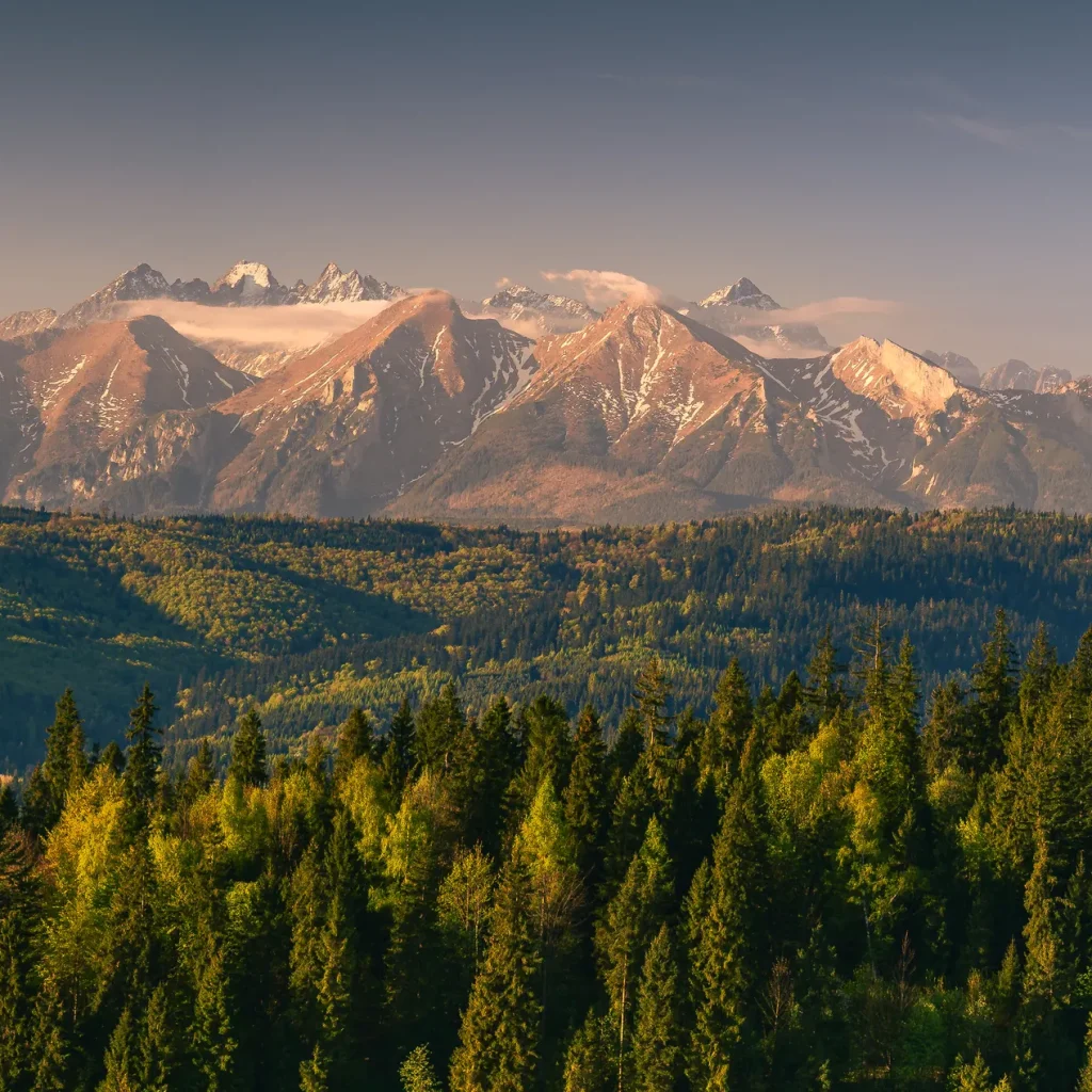 pieniny-wiosna-25-marcinkieltyka-nature-lifestyle-nature-photographer-pieniny-landscape-06