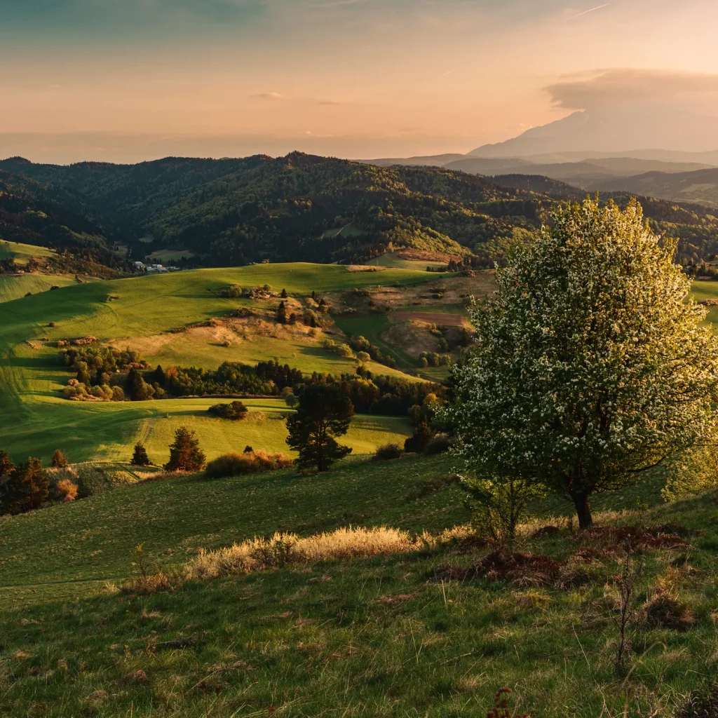 pieniny-wiosna-25-marcinkieltyka-nature-lifestyle-nature-photographer-pieniny-landscape-10