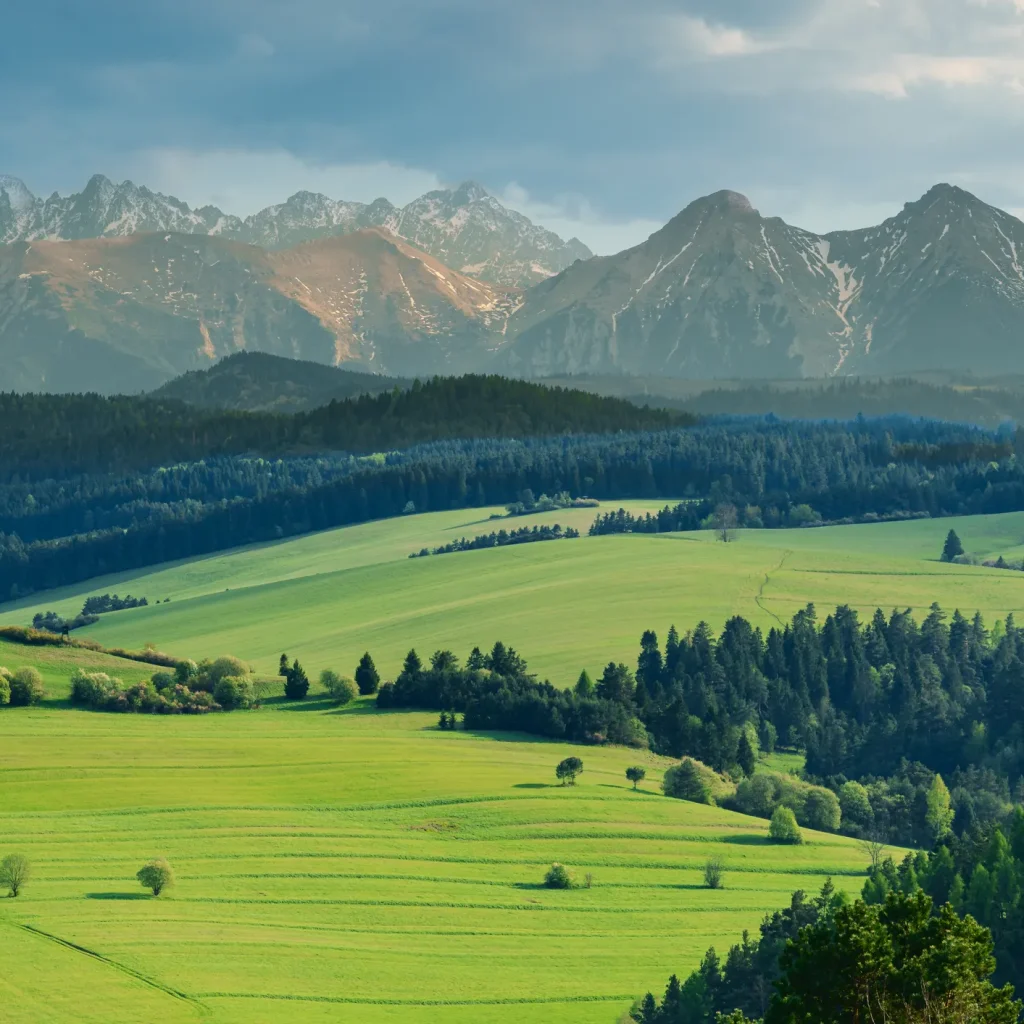 pieniny-wiosna-25-marcinkieltyka-nature-lifestyle-nature-photographer-pieniny-landscape-14