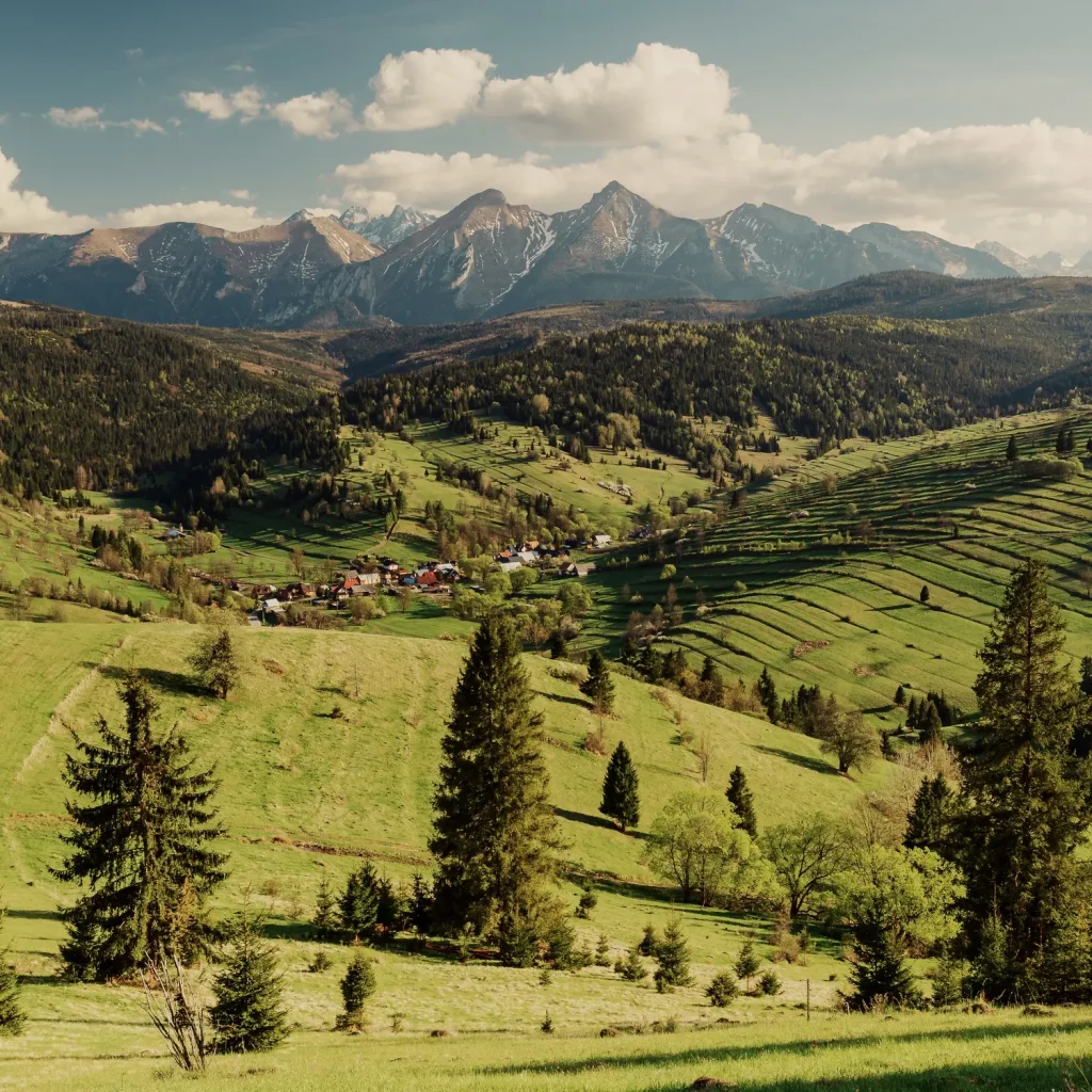pieniny-wiosna-25-marcinkieltyka-nature-lifestyle-nature-photographer-spring-mountain-01