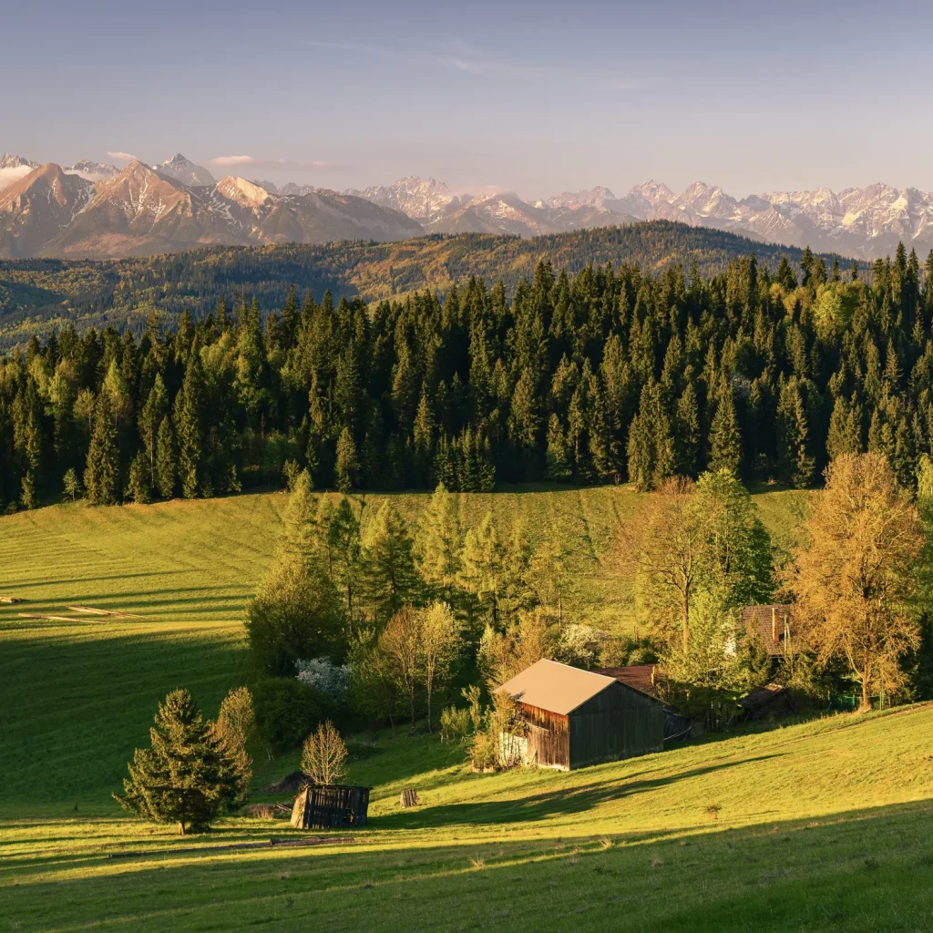pieniny-wiosna-25-marcinkieltyka-nature-lifestyle-nature-photographer-spring-mountain-05