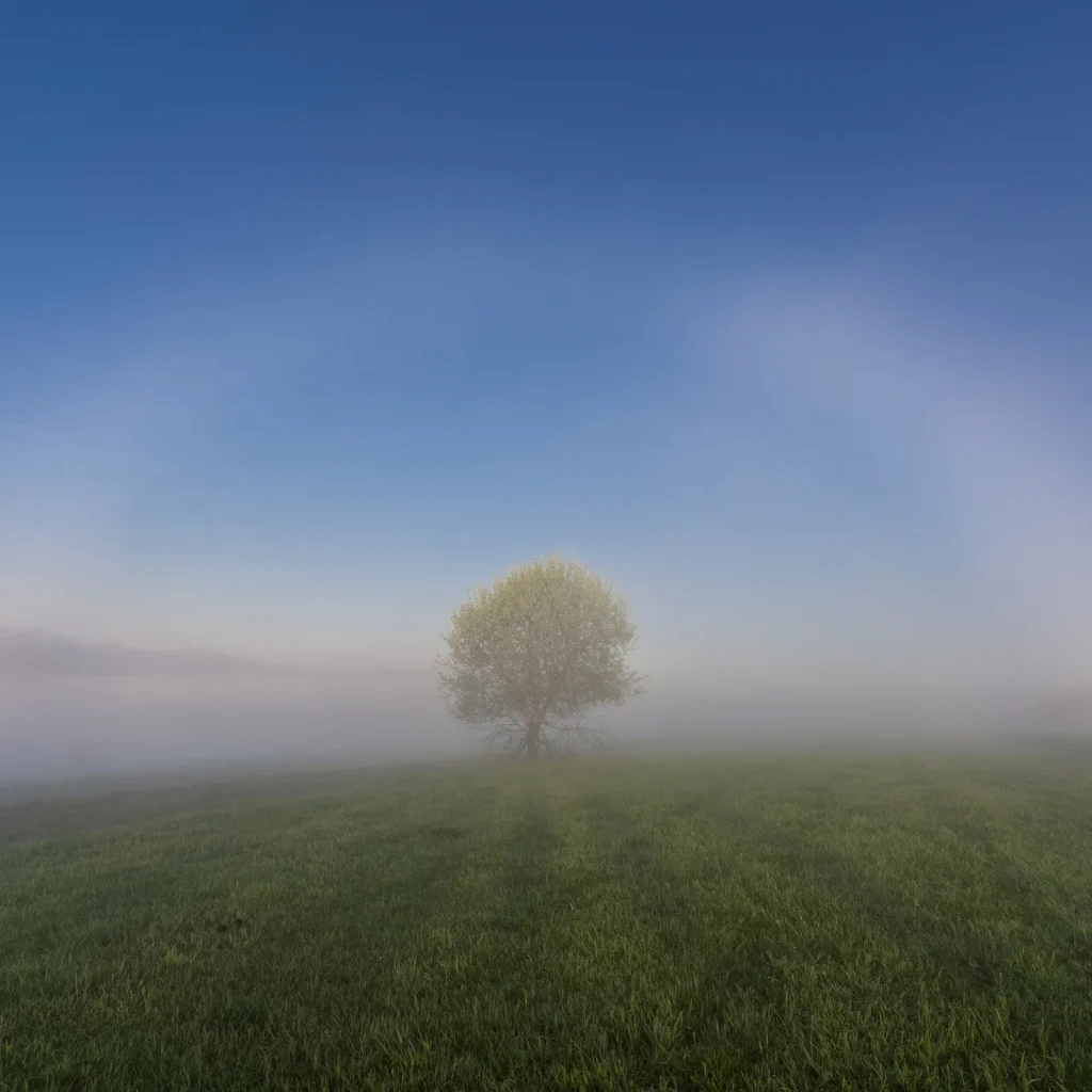pieniny-wiosna-25-marcinkieltyka-nature-lifestyle-nature-photographer-spring-mountain-17