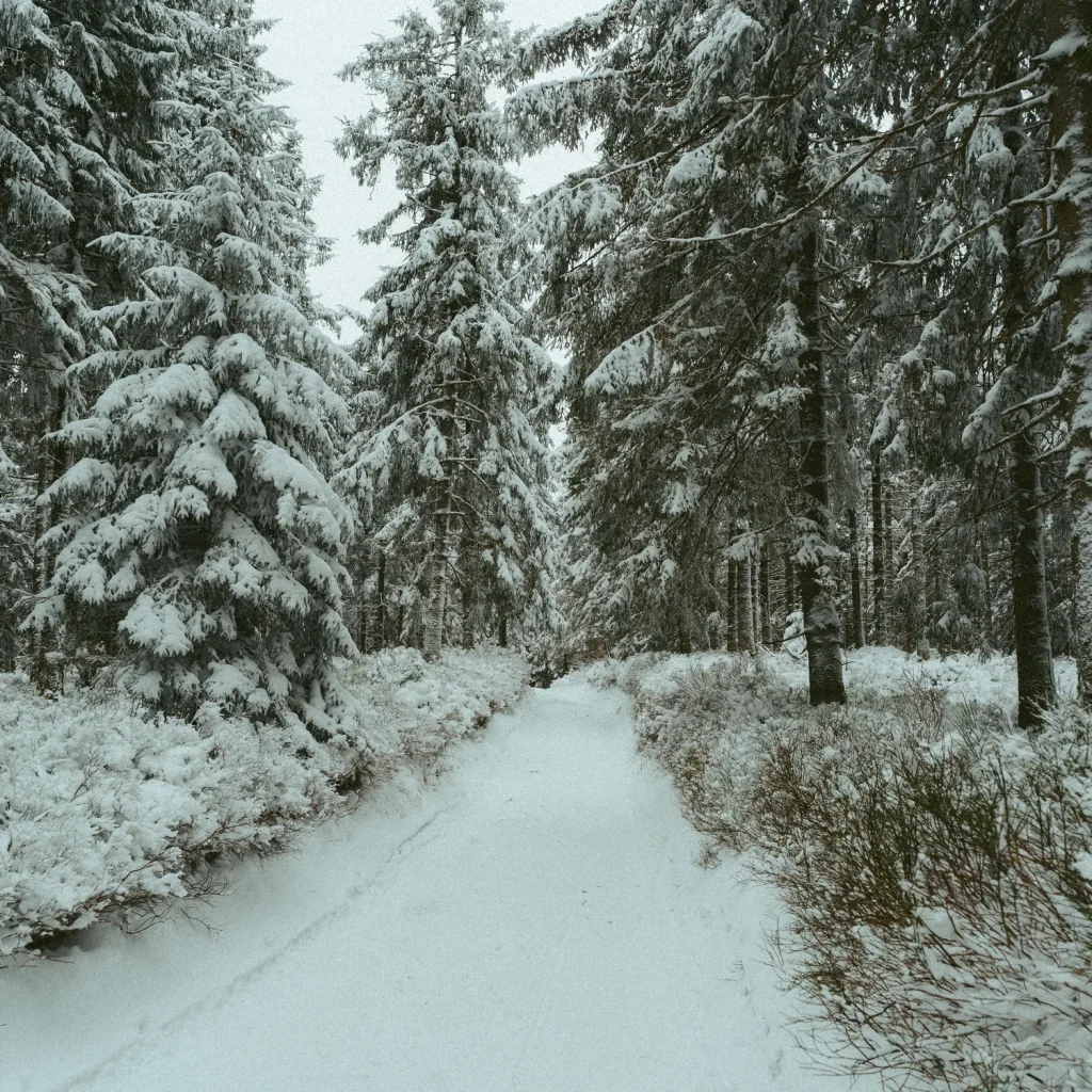 pilsko-26-marcinkieltyka-nature-lifestyle-nature-photographer-summit-photo-04