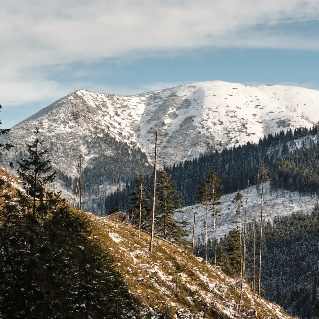 tatry-zachodnie-zima-25-marcinkieltyka-nature-lifestyle-nature-photographer-tatra-landscape-19