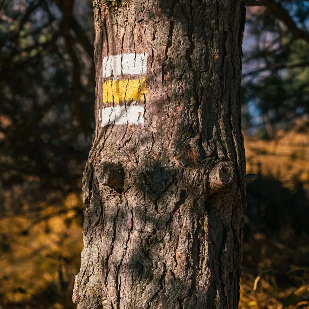 wysoki-wierch-jesien-25-marcinkieltyka-nature-lifestyle-nature-photographer-autumn-mountain-05