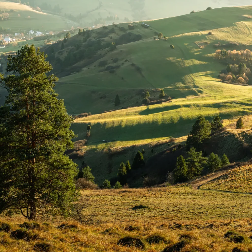 wysoki-wierch-jesien-25-marcinkieltyka-nature-lifestyle-nature-photographer-fall-landscape-10