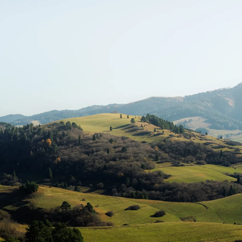 wysoki-wierch-jesien-25-marcinkieltyka-nature-lifestyle-nature-photographer-nature-landscape-04