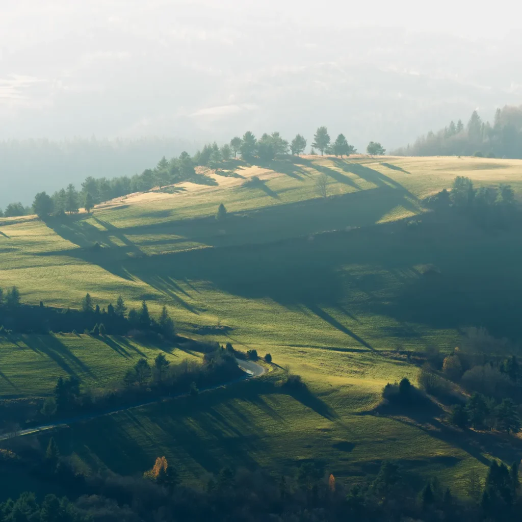 wysoki-wierch-jesien-25-marcinkieltyka-nature-lifestyle-nature-photographer-nature-landscape-08